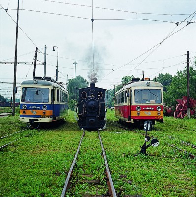 Zobrazi� cel� fotku