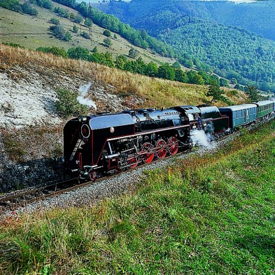 Zobrazi� cel� fotku