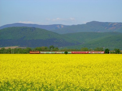 Zobrazi� cel� fotku