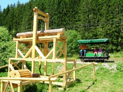 Zobrazi� cel� fotku