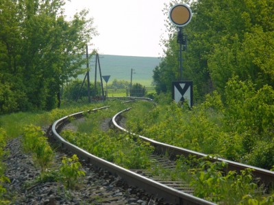 Zobrazi� cel� fotku