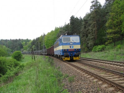 Zobrazi� cel� fotku
