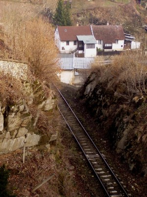 Zobrazi� cel� fotku