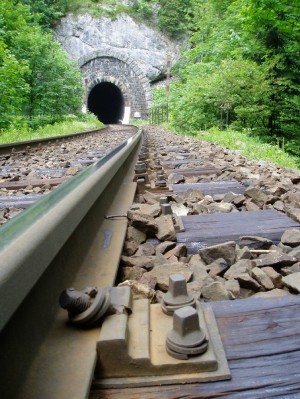 Zobrazi� cel� fotku