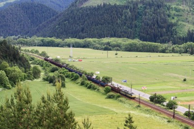 Zobrazi� cel� fotku