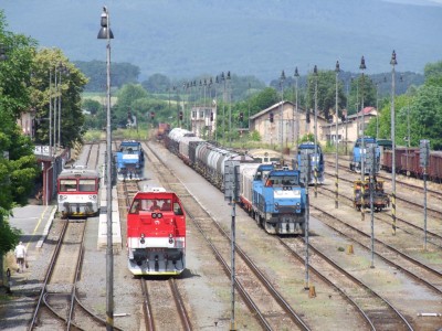 Zobrazi� cel� fotku