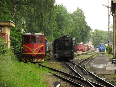 Zobrazi� cel� fotku