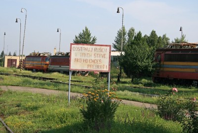 Zobrazi� cel� fotku