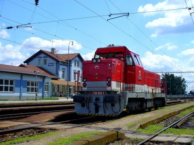 Zobrazi� cel� fotku