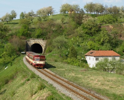 Zobrazi� cel� fotku