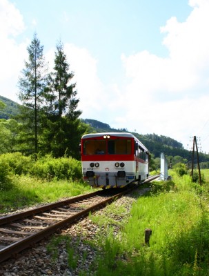 Zobrazi� cel� fotku