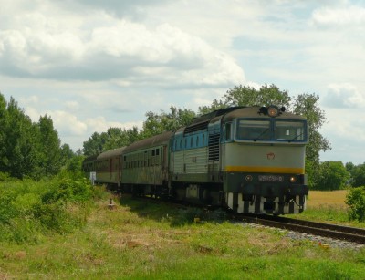 Zobrazi� cel� fotku