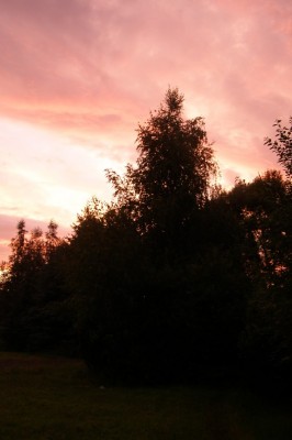 Zobrazi� cel� fotku