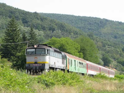 Zobrazi� cel� fotku