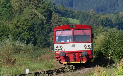 Zobrazi� cel� fotku