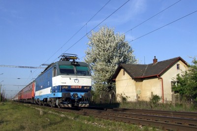 Zobrazi� cel� fotku