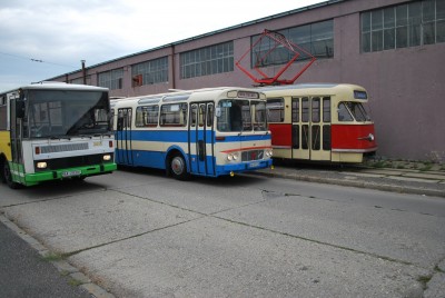 Zobrazi� cel� fotku