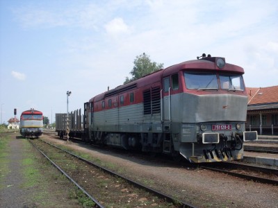 Zobrazi� cel� fotku