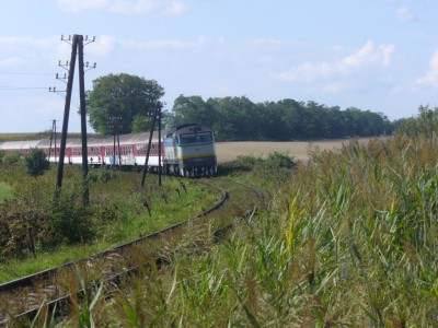 Zobrazi� cel� fotku