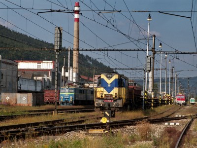 Zobrazi� cel� fotku