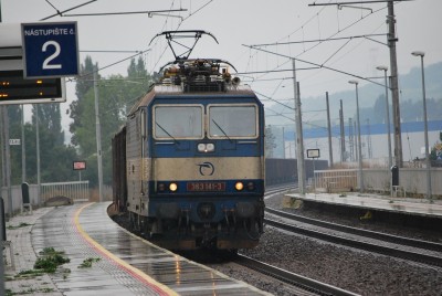 Zobrazi� cel� fotku