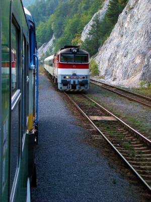 Zobrazi� cel� fotku