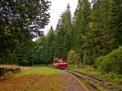 Zobrazi� cel� fotku