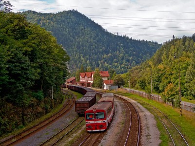 Zobrazi� cel� fotku