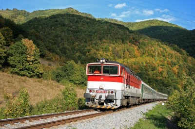 Zobrazi� cel� fotku