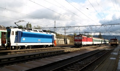 Zobrazi� cel� fotku