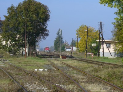 Zobrazi� cel� fotku