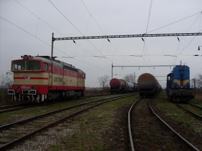 Zobrazi� cel� fotku