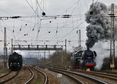 Zobrazi� cel� fotku