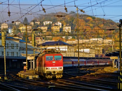 Zobrazi� cel� fotku