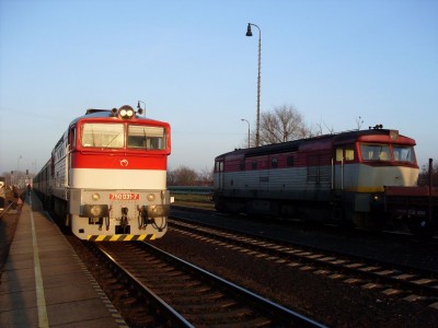 Zobrazi� cel� fotku