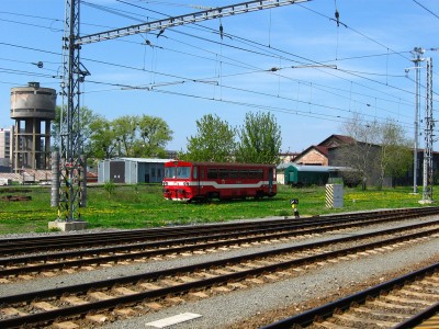 Zobrazi� cel� fotku