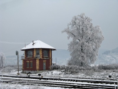 Zobrazi� cel� fotku