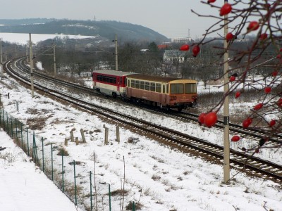 Zobrazi� cel� fotku