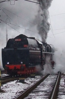 Zobrazi� cel� fotku