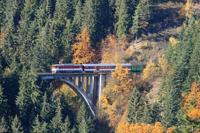 Zobrazi� cel� fotku