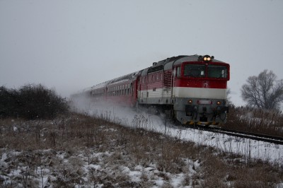 Zobrazi� cel� fotku