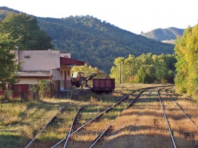 Zobrazi� cel� fotku