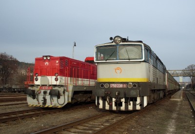 Zobrazi� cel� fotku