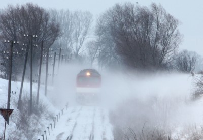 Zobrazi� cel� fotku