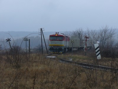 Zobrazi� cel� fotku