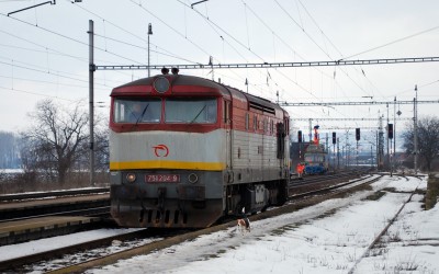 Zobrazi� cel� fotku
