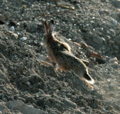 Zobrazi� cel� fotku