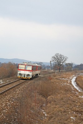 Zobrazi� cel� fotku