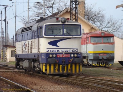 Zobrazi� cel� fotku