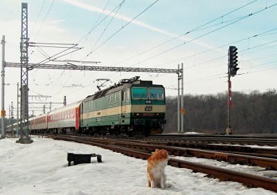 Zobrazi� cel� fotku